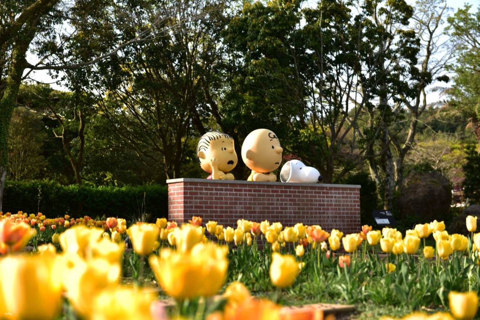 Snoopy Garden, Jeju Island
